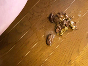 お前の母ちゃんウンコまみれ 喜美枝　サンプル画像09